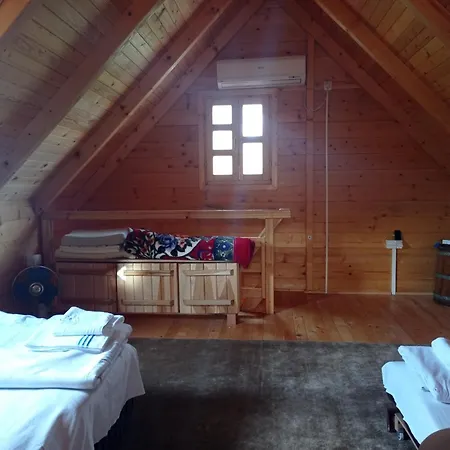 Brvnara Omladinac Vinci